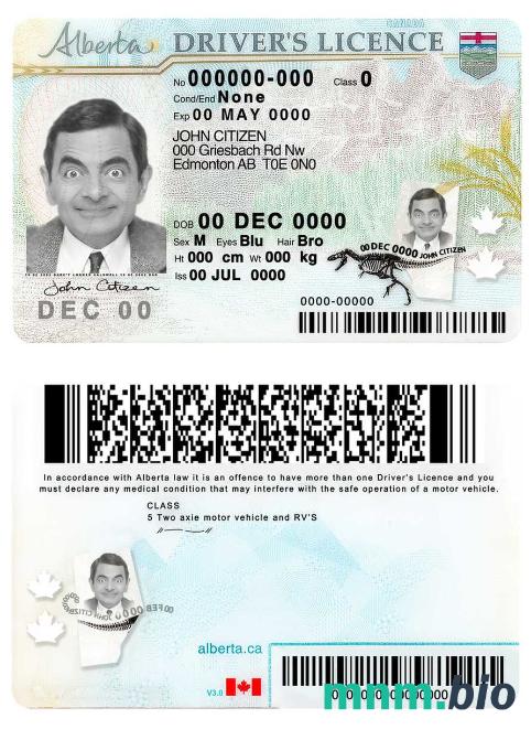 Canada Alberta province driving license szablon in PSD format, with all fonts